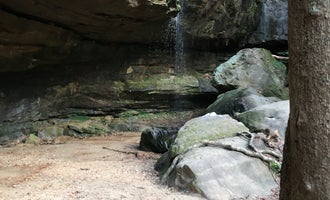 Camping near Dismals Canyon Cabins and Primitive Campsites: Sipsey Wilderness Backcountry Site (Trail 207 Site C), Bankhead National Forest, Alabama