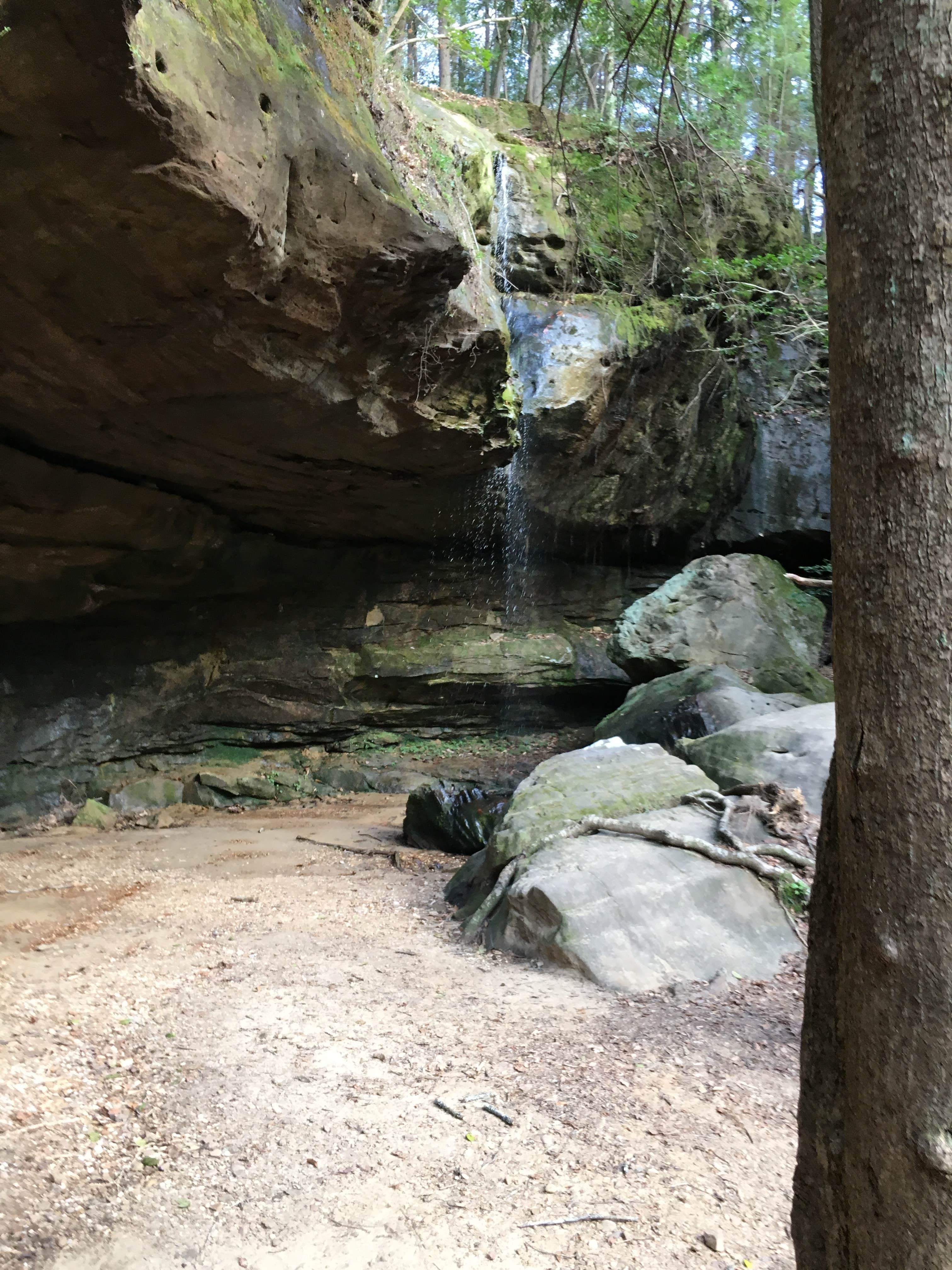 Sipsey Wilderness Backcountry Site (Trail 207 Site C) Camping