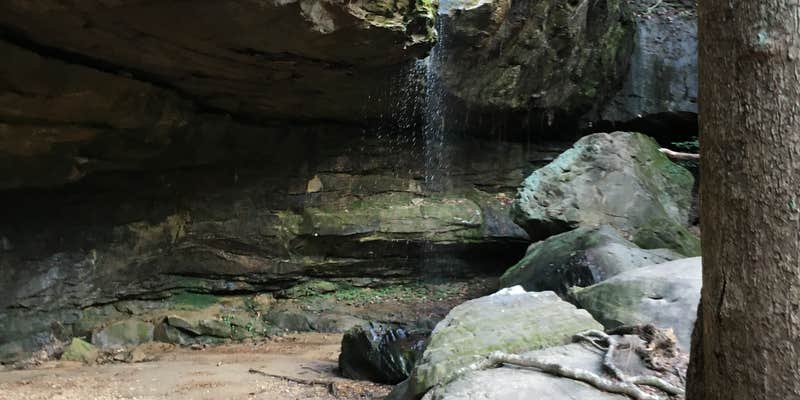 Camper submitted image from Sipsey Wilderness Backcountry Site (Trail 207 Site C)