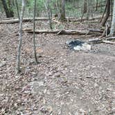 Review photo of Sipsey Wilderness Backcountry Site (Trail 207 Site D) by Asher K., May 31, 2019