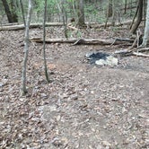 Review photo of Sipsey Wilderness Backcountry Site (Trail 207 Site D) by Asher K., May 31, 2019