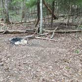 Review photo of Sipsey Wilderness Backcountry Site (Trail 207 Site D) by Asher K., May 31, 2019