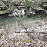 Review photo of Sipsey Wilderness Backcountry Site (Trail 207 Site D) by Asher K., May 31, 2019