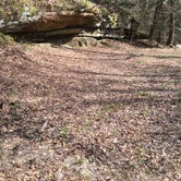 Review photo of Sipsey Wilderness Backcountry Site (Trail 200 Site A) by Asher K., May 31, 2019