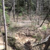 Review photo of Sipsey Wilderness Backcountry Site (Trail 200 Site A) by Asher K., May 31, 2019