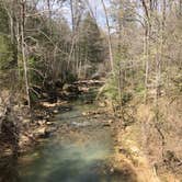 Review photo of Sipsey Wilderness Backcountry Site (Trail 200 Site A) by Asher K., May 31, 2019