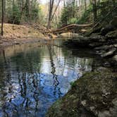 Review photo of Sipsey Wilderness Backcountry Site (Trail 200 Site A) by Asher K., May 31, 2019