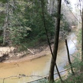 Review photo of Sipsey Wilderness Backcountry Site (Trail 200 Site A) by Asher K., May 31, 2019