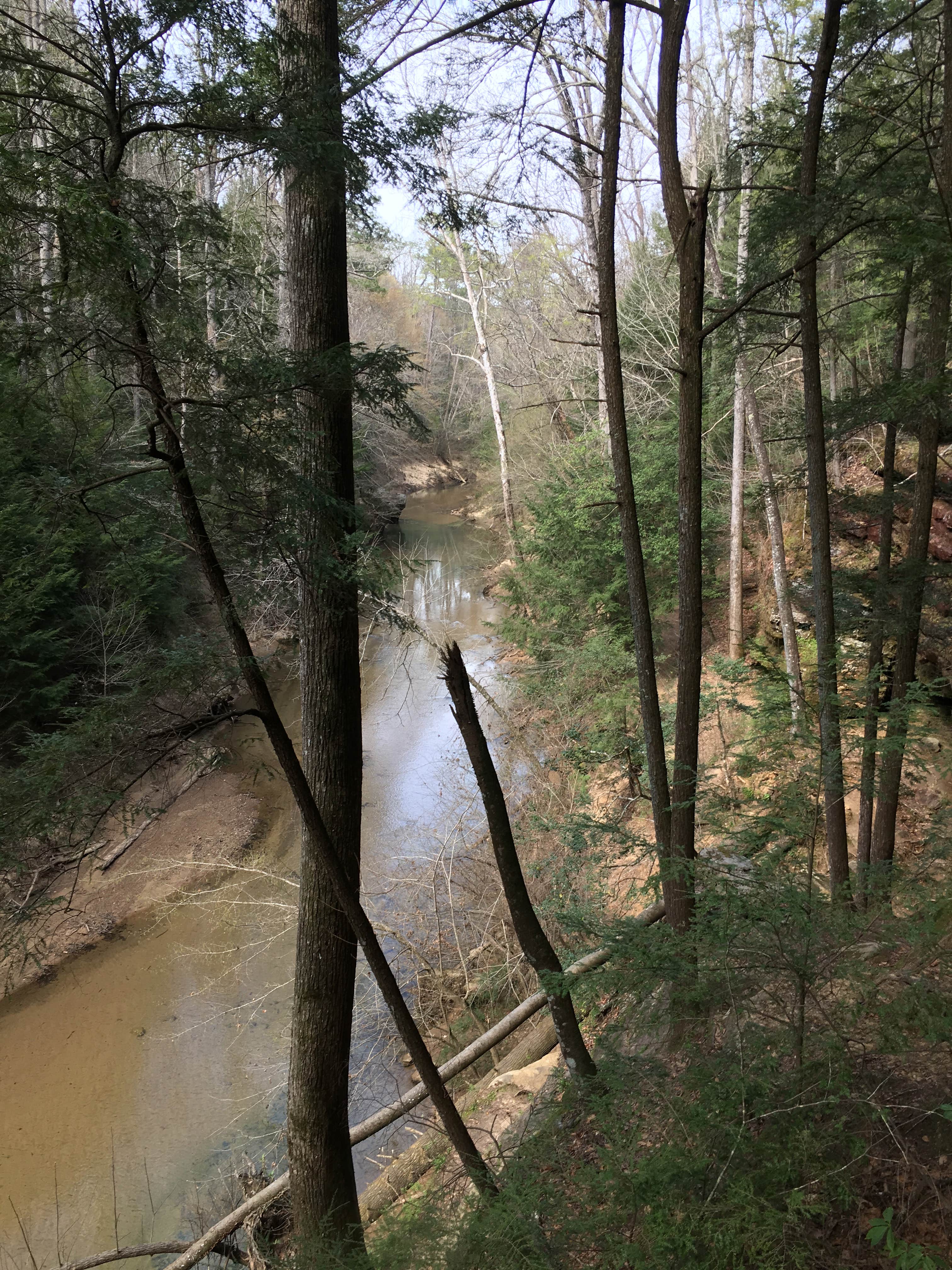 Camper-submitted photo at Sipsey Wilderness Backcountry Site (Trail 200 Site A) near Addison, AL