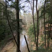 Review photo of Sipsey Wilderness Backcountry Site (Trail 200 Site A) by Asher K., May 31, 2019