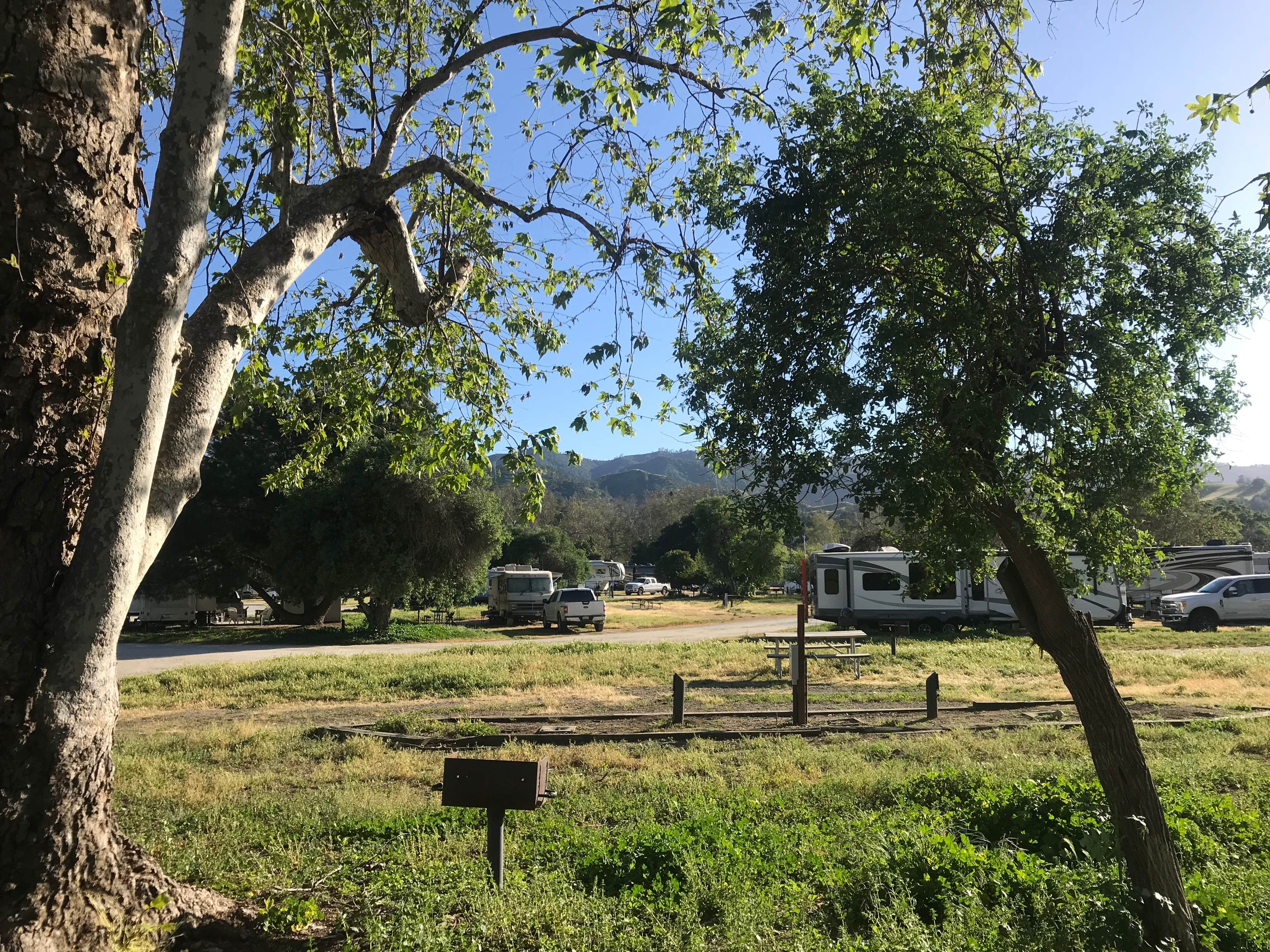 Camper submitted image from Thousand Trails San Benito - 4
