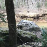 Review photo of Sipsey Wilderness Backcountry Site (Trail 200 Site B) by Asher K., May 31, 2019