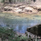 Review photo of Sipsey Wilderness Backcountry Site (Trail 200 Site B) by Asher K., May 31, 2019