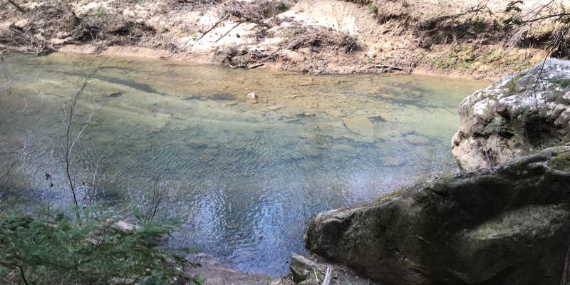 Camper submitted image from Sipsey Wilderness Backcountry Site (Trail 200 Site B)