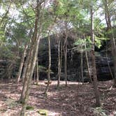 Review photo of Sipsey Wilderness Backcountry Site (Trail 200 Site B) by Asher K., May 31, 2019