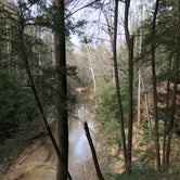 Review photo of Sipsey Wilderness Backcountry Site (Trail 200 Site B) by Asher K., May 31, 2019