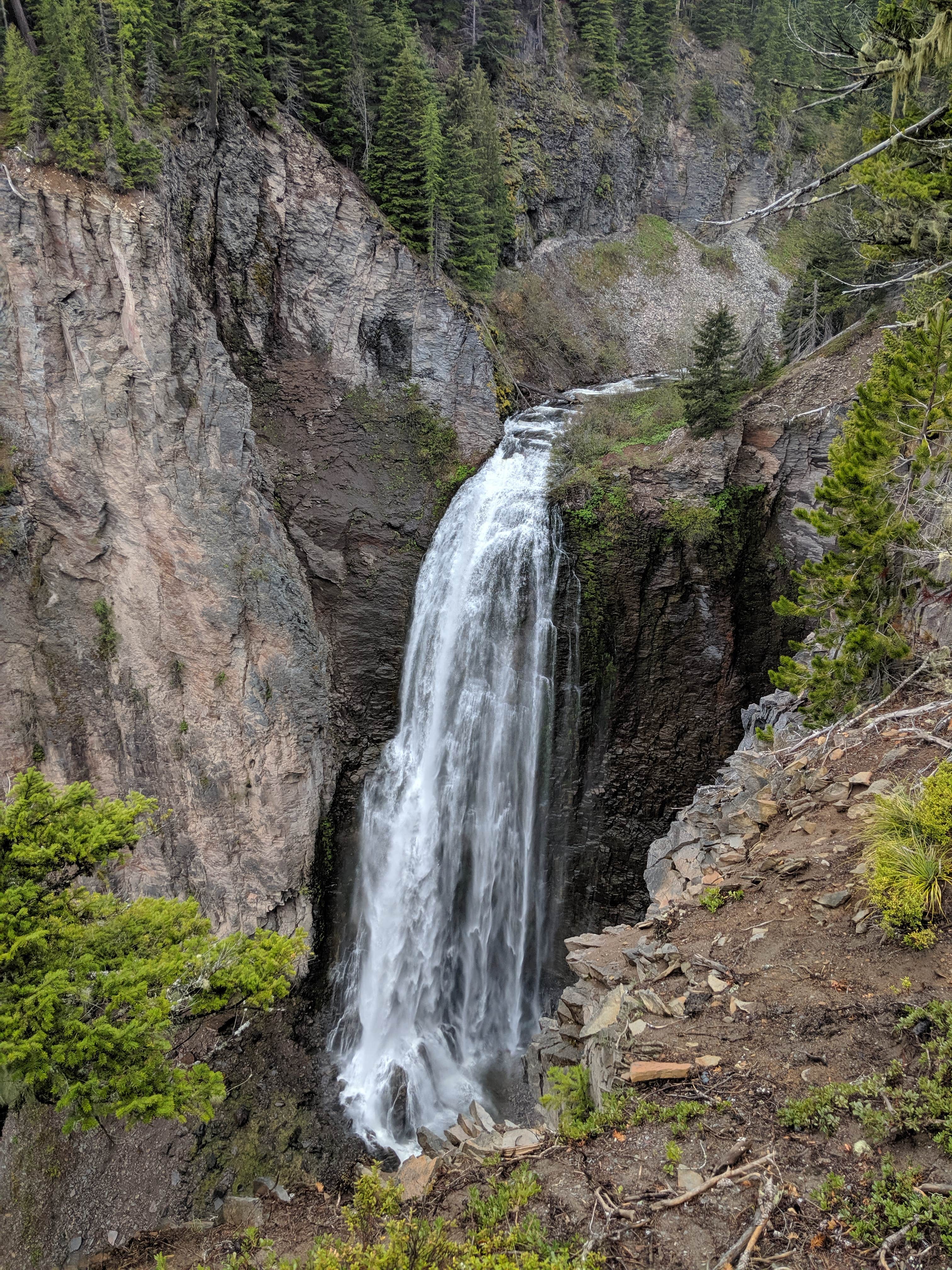 Camper submitted image from Dog Lake Campground - 3