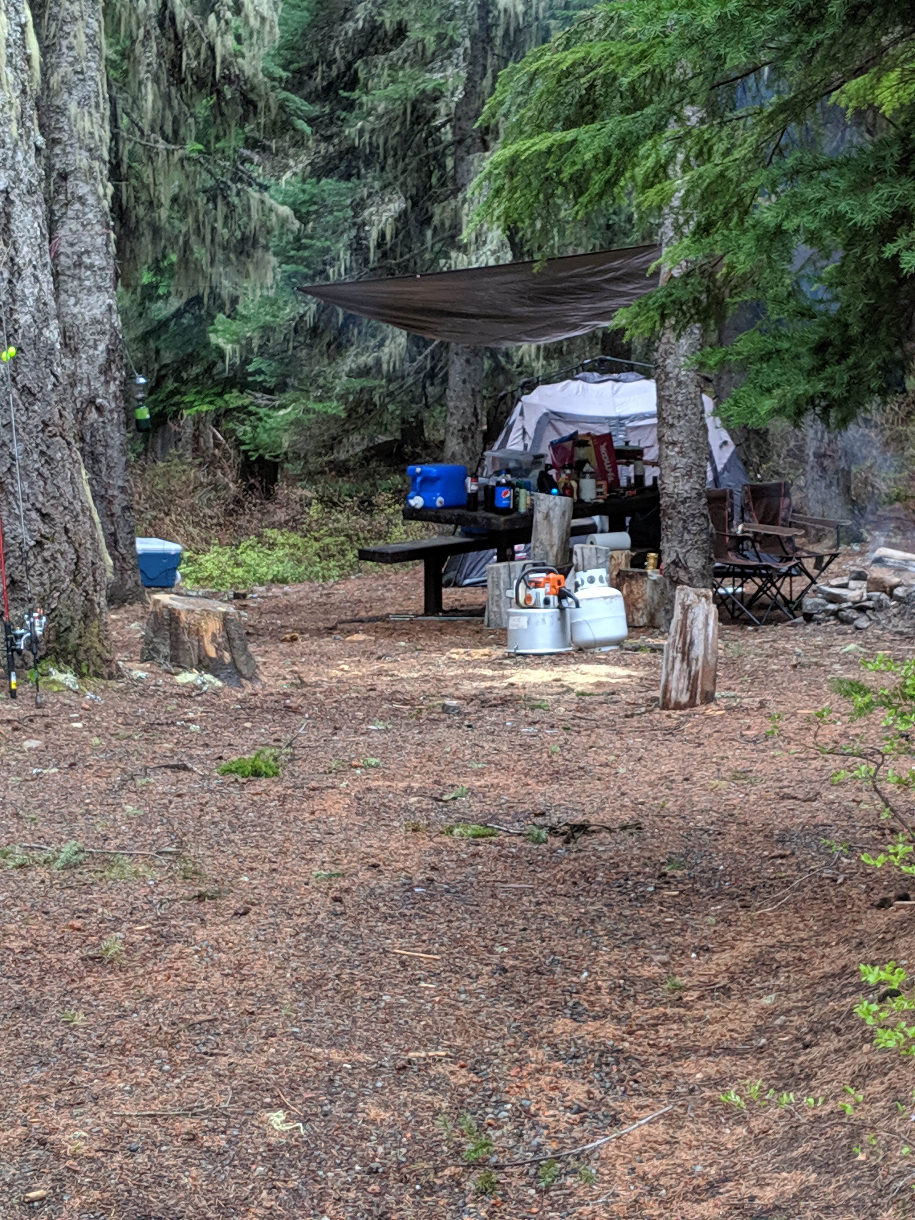 Mary C.'s photo at Dog Lake Campground near White Pass, WA
