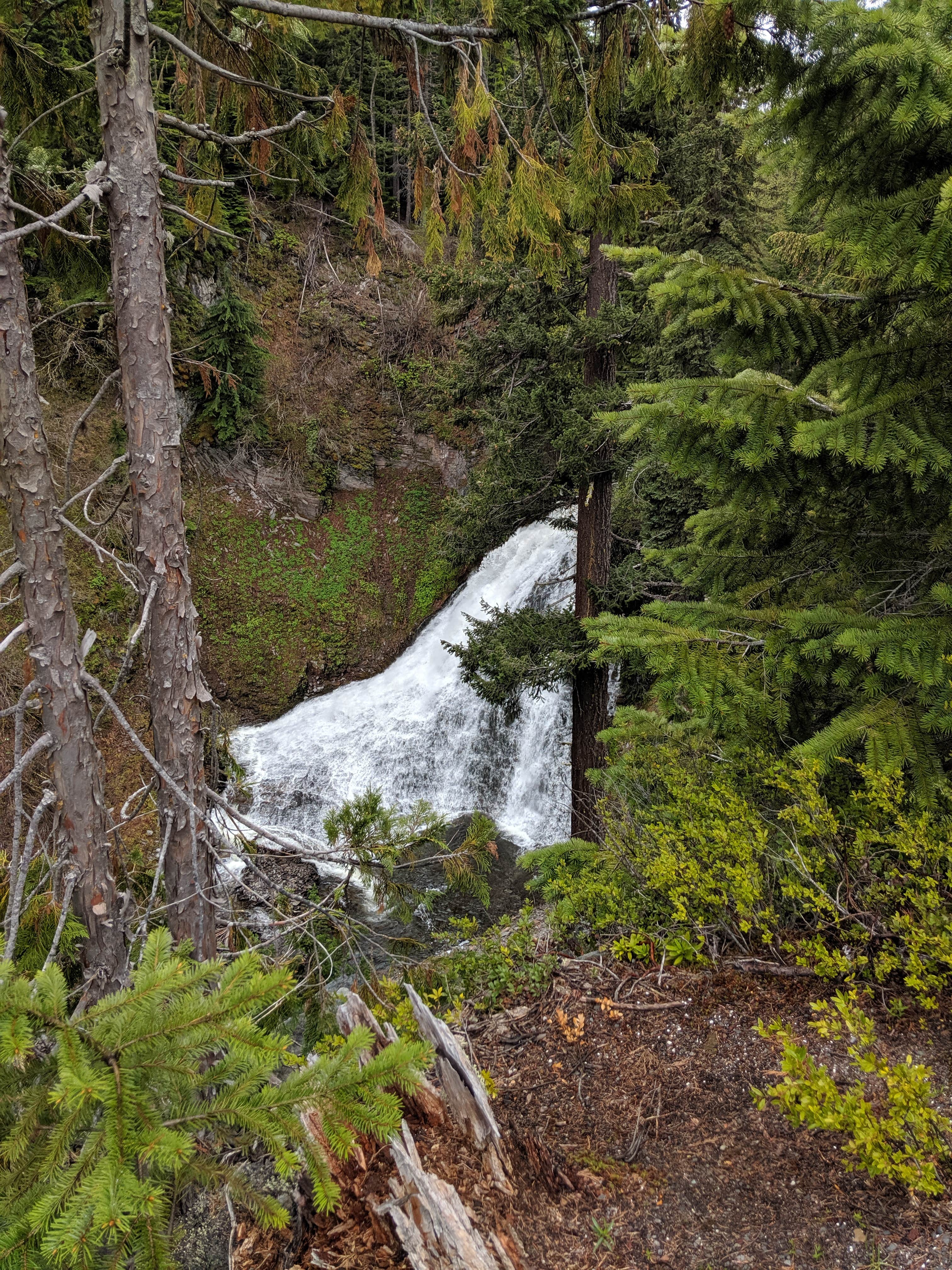Camper submitted image from Dog Lake Campground - 4