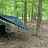 Review photo of Mammoth Cave Campground — Mammoth Cave National Park by Shawna F., May 18, 2019