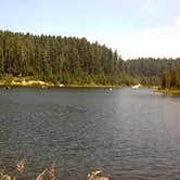 Review photo of Hemlock Meadows by Tim W., August 13, 2015