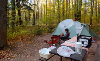 Shirwil L.'s photo at Copper Falls State Park Campground near Ashland, WI