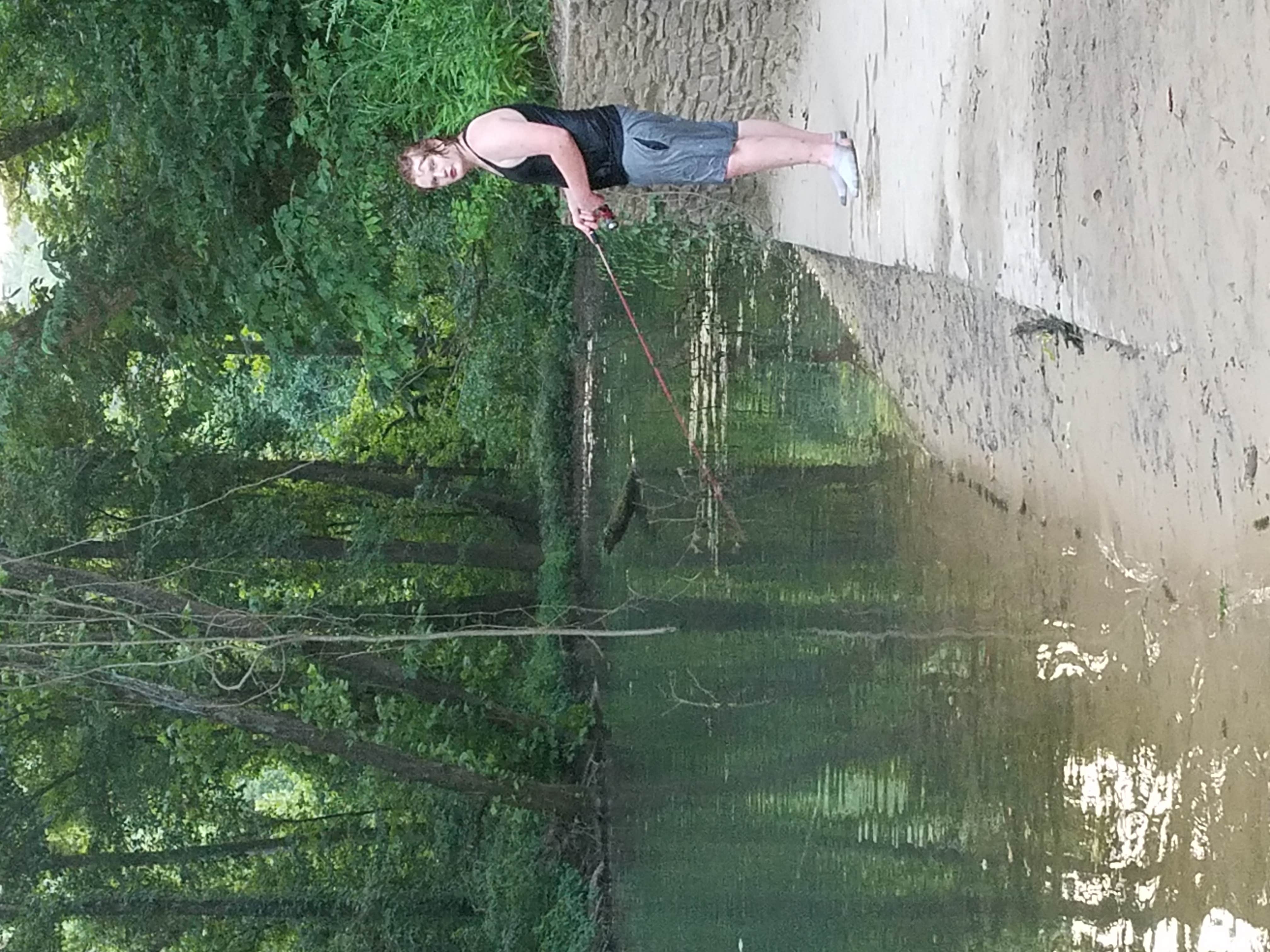 Camper submitted image from Greer Crossing - 4
