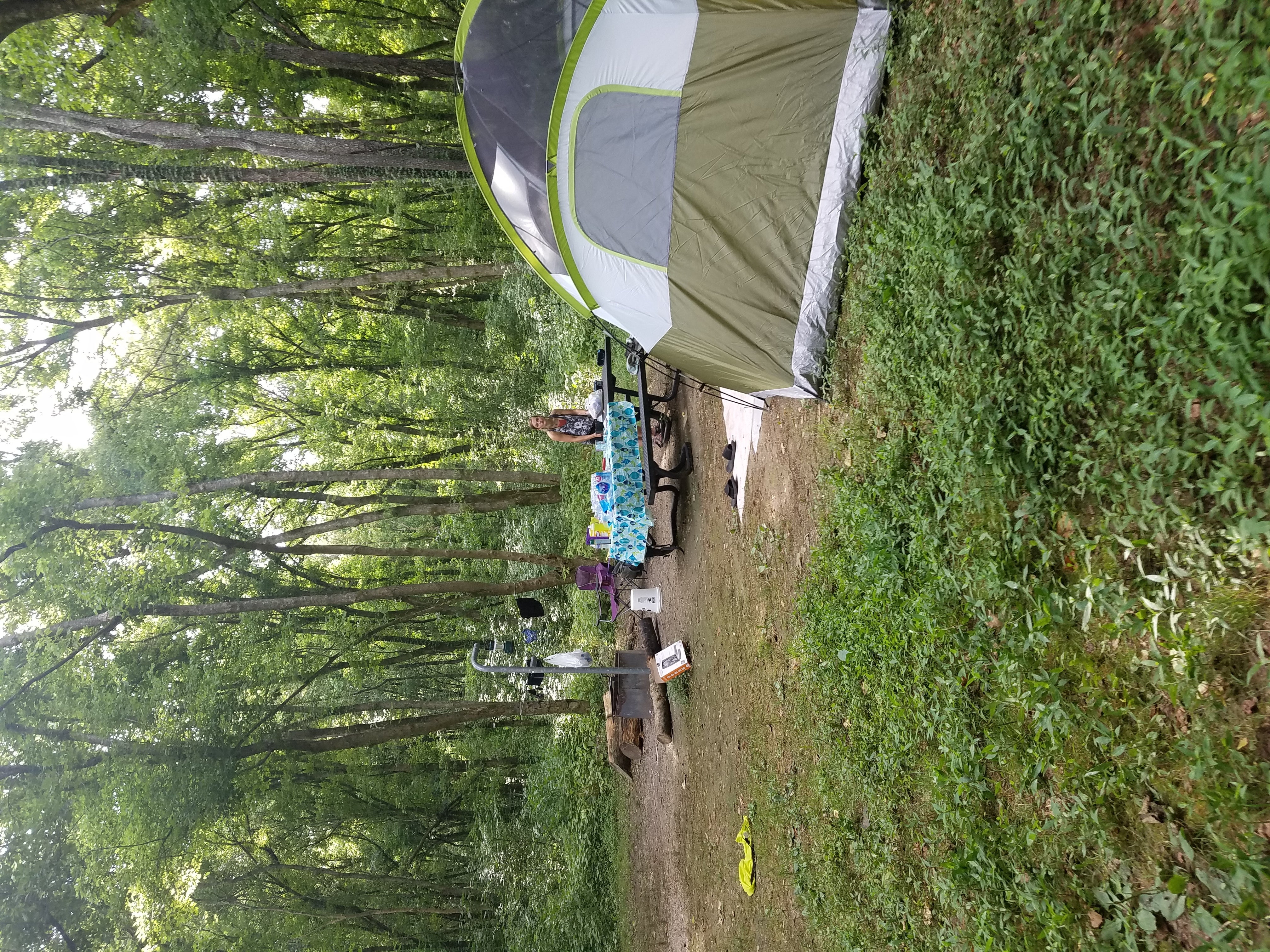Camper submitted image from Greer Crossing - 5