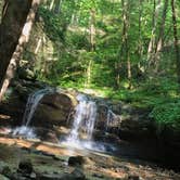 Review photo of Frozen Head State Park Campground by Rebecca C., June 1, 2019