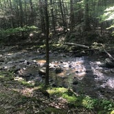 Review photo of Frozen Head State Park Campground by Rebecca C., June 1, 2019