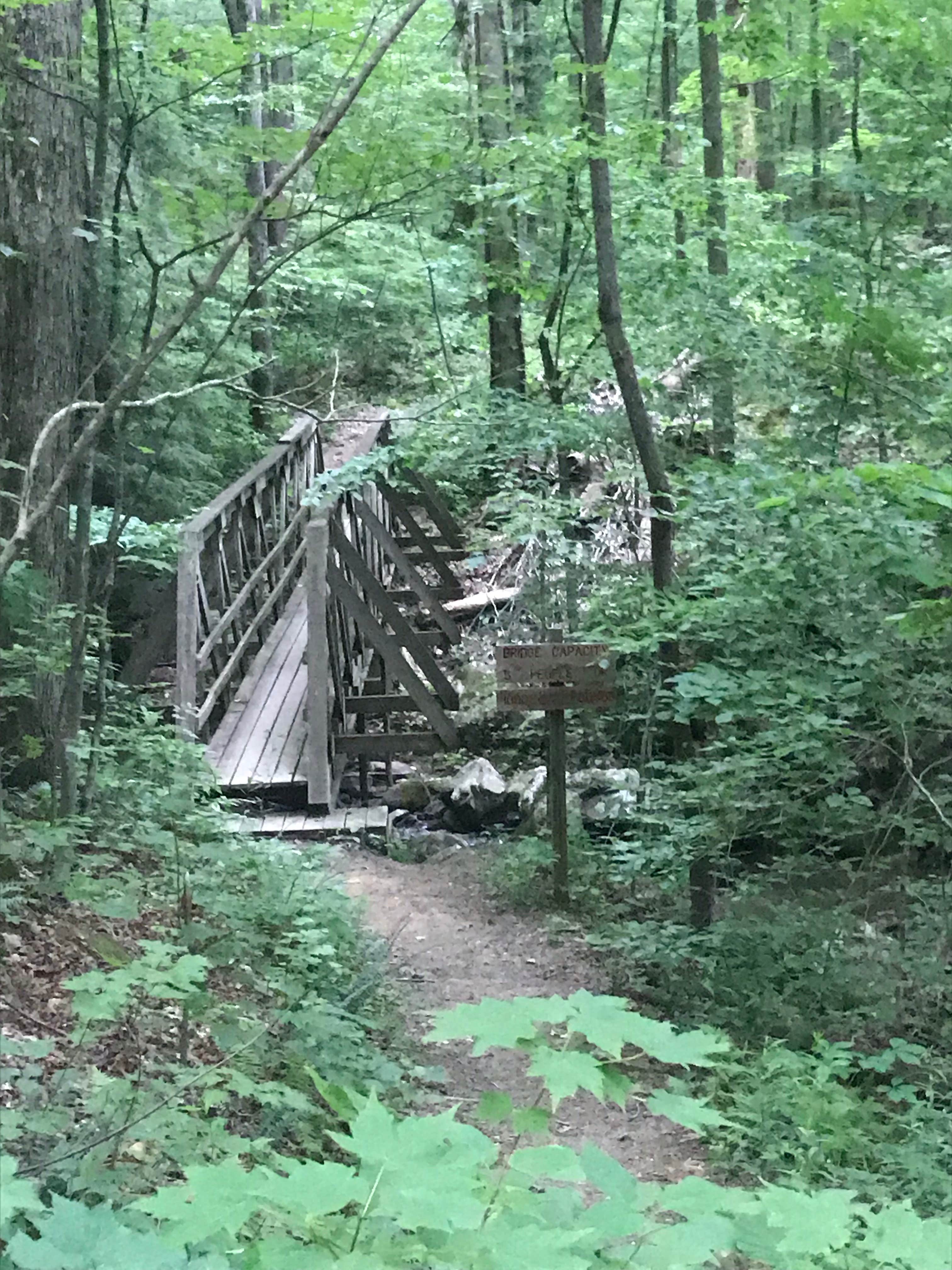Camper submitted image from Frozen Head State Park Campground - 3