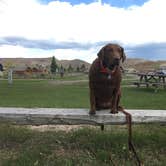 Review photo of Dubois-Wind River KOA by Dan E., June 1, 2019