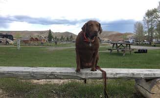 Dan E.'s photo of camping with pets at Dubois-Wind River KOA in Wyoming