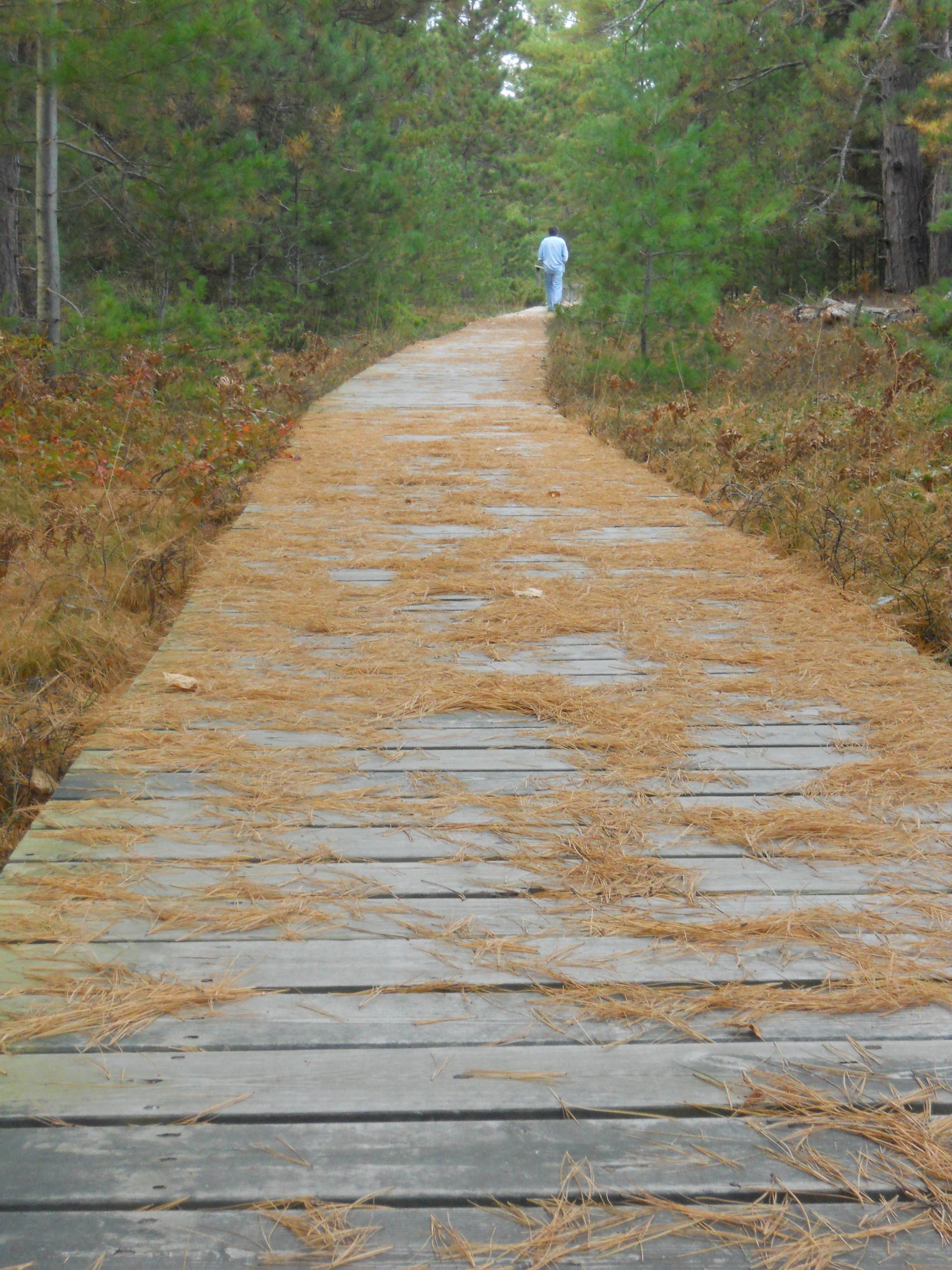 Camper submitted image from Big Bay State Park Campground - 1