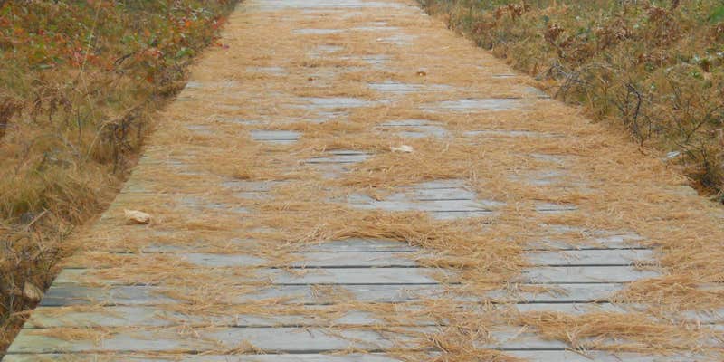 Camper submitted image from Big Bay State Park Campground