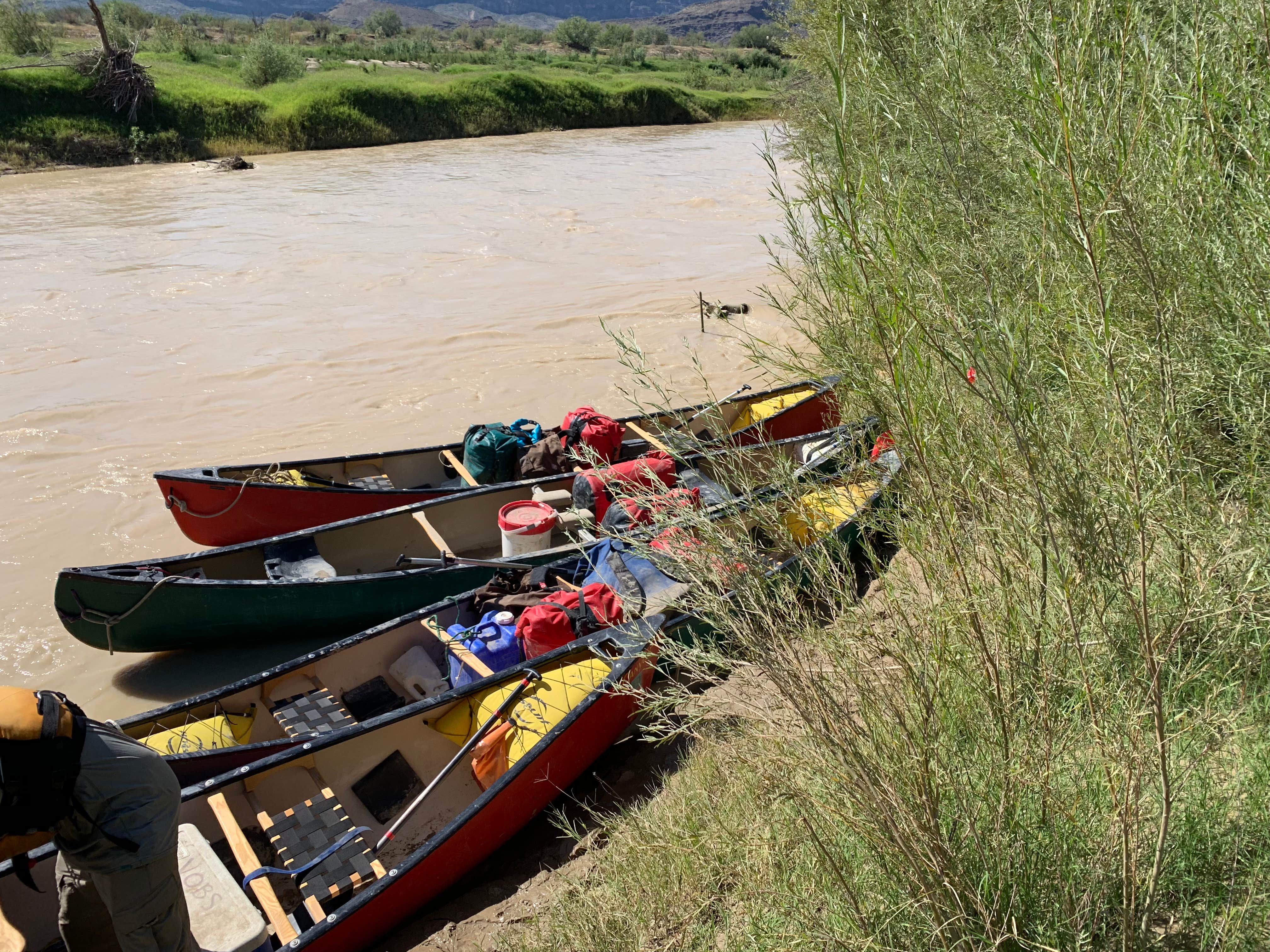 Camper submitted image from Cottonwood Campground — Big Bend National Park - 5