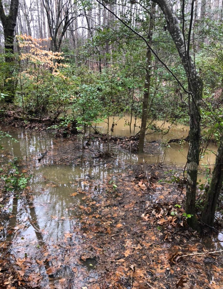 Camper-submitted photo at Uwharrie National Forest near Rockingham, NC