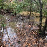 Review photo of Uwharrie National Forest by Sean R., May 30, 2019