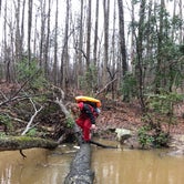 Review photo of Uwharrie National Forest by Sean R., May 30, 2019
