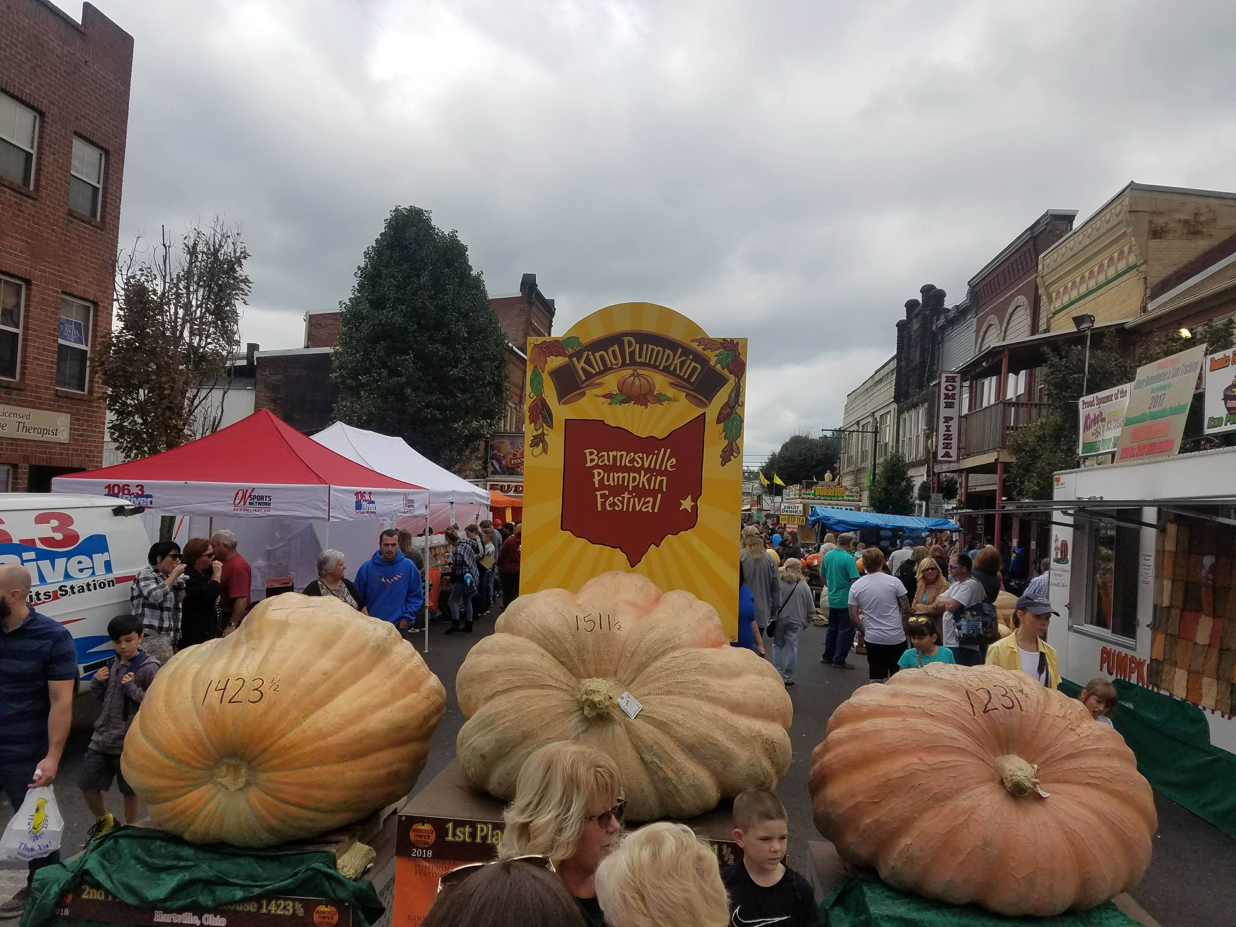 Camper-submitted photo at Barkcamp State Park Campground near Washington, PA