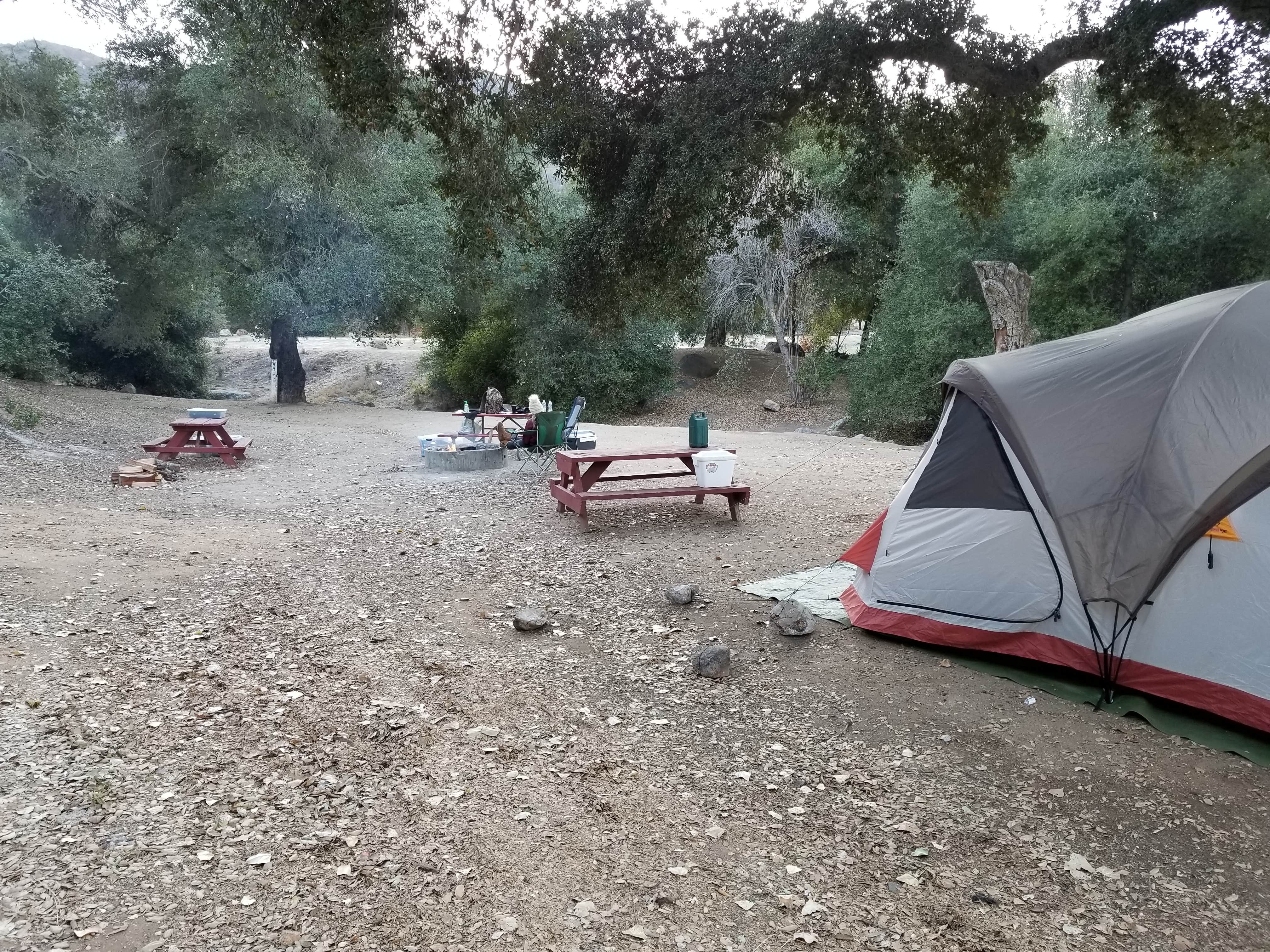 Camper submitted image from Lake Henshaw Resort - 4