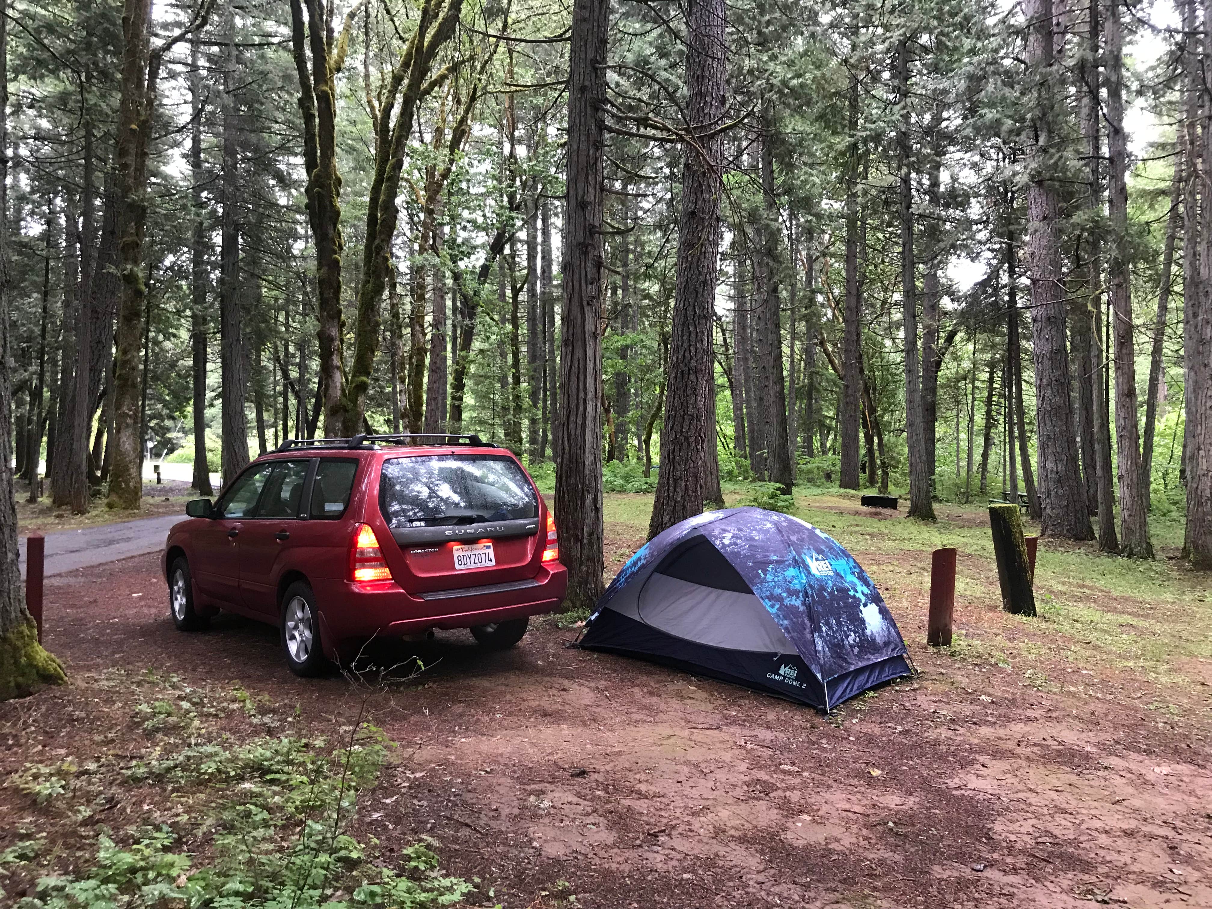 Camper-submitted photo at Wolf Creek Park near Wolf Creek, OR