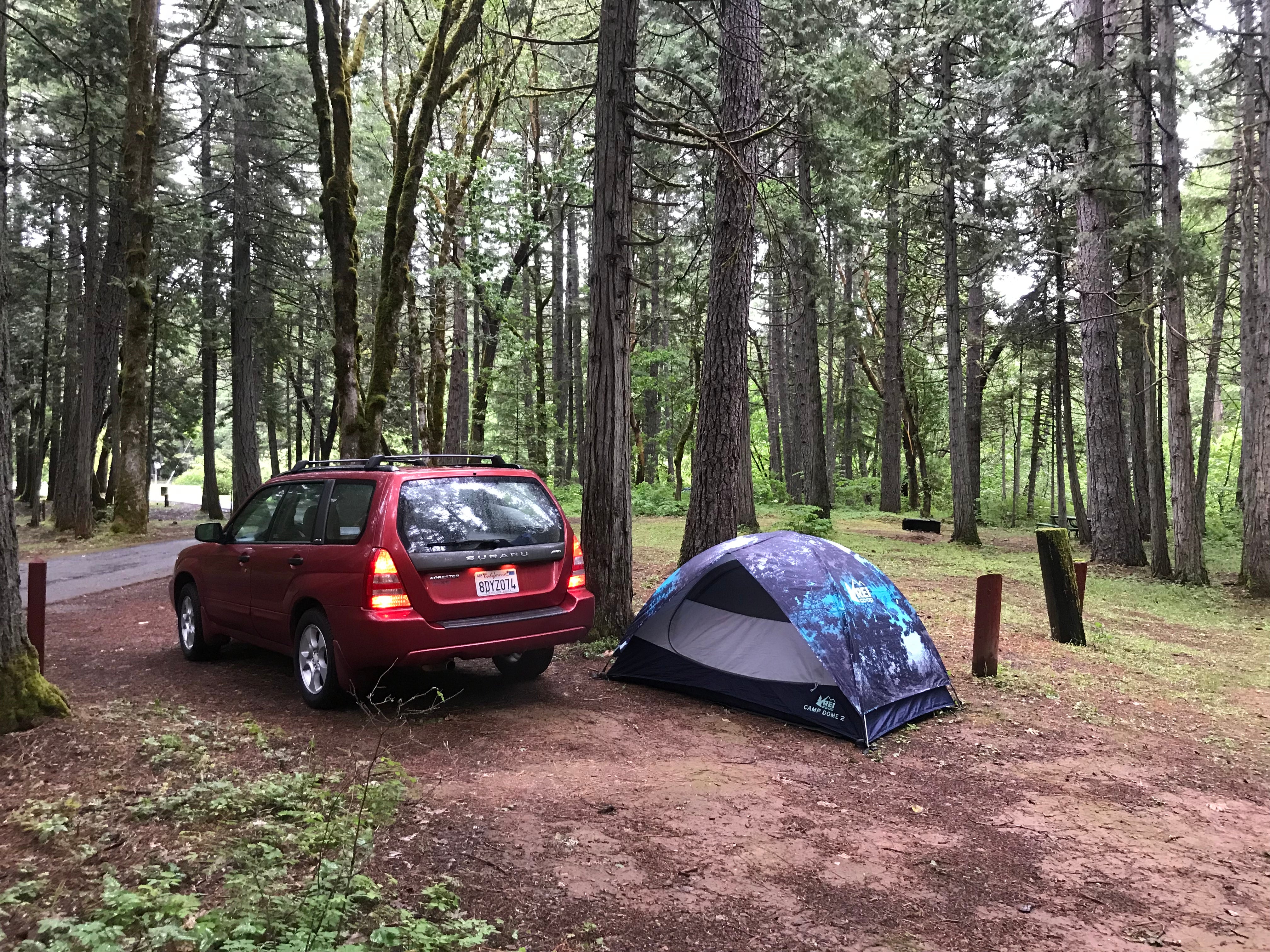 Camper submitted image from Wolf Creek Park - 1