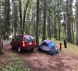 Camper-submitted photo from Chief Miwaleta RV Park & Campground