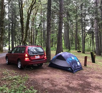 Camper-submitted photo from Wolf Creek Park