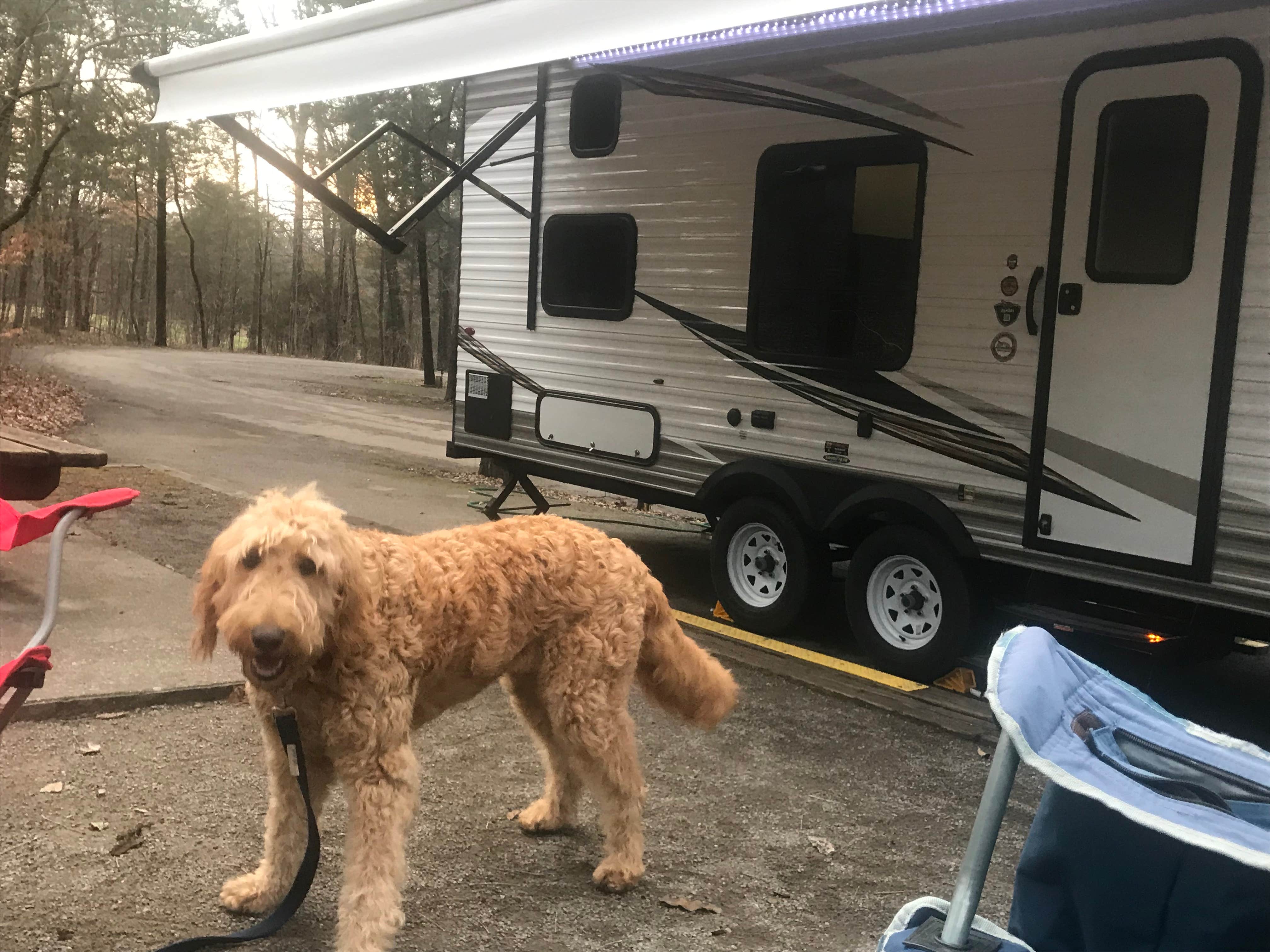 Ines  M.'s photo of camping with pets at Cedars of Lebanon State Park Campground near Gallatin, TN