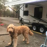 Review photo of Cedars of Lebanon State Park Campground by Ines  M., June 1, 2019