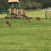 Review photo of Veteran's Memorial Park Campground by Jaws G., May 22, 2019