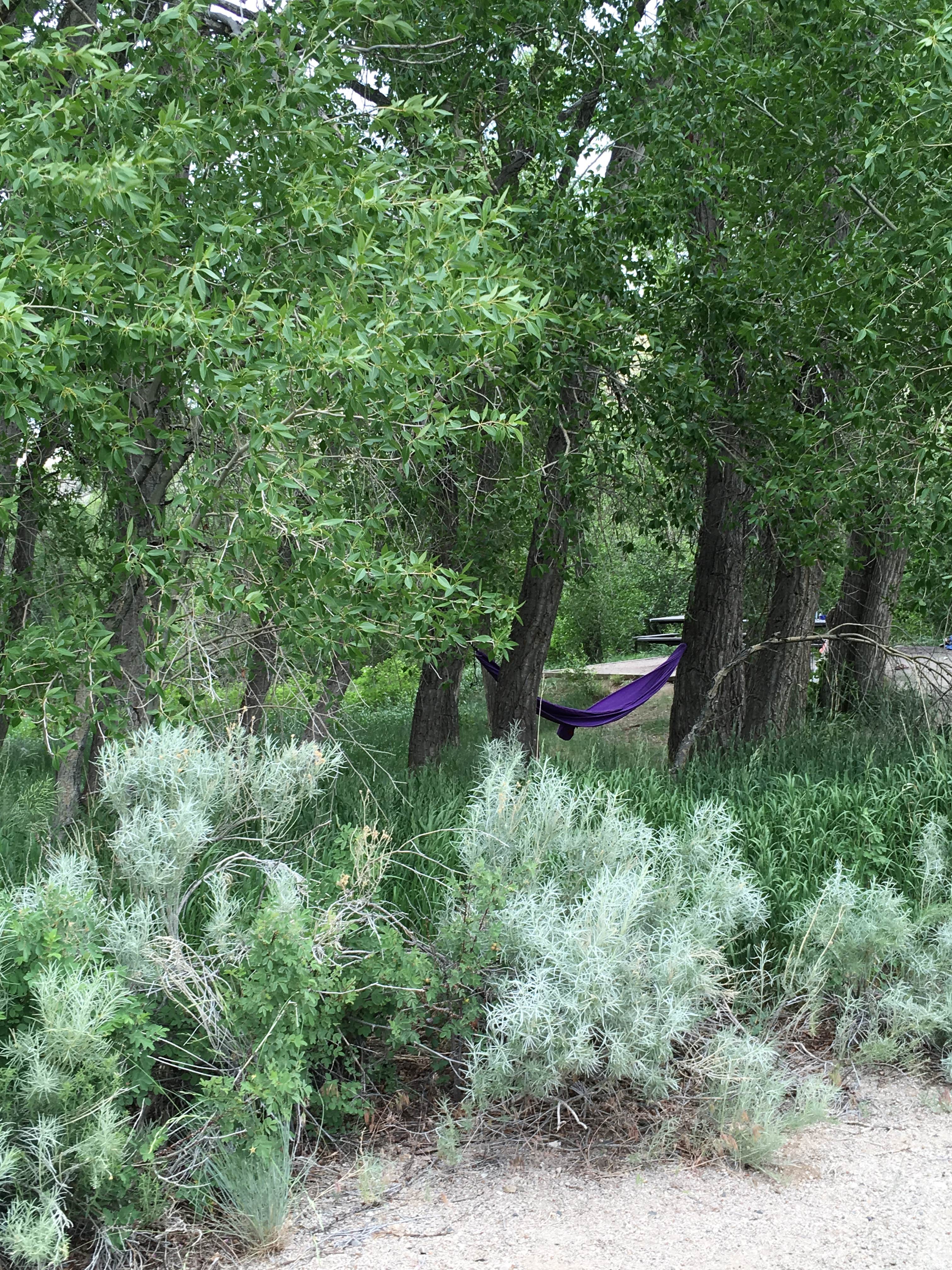 Camper-submitted photo at Encampment River Campground — Bureau Of Land Management near Medicine Bow-Routt National Forests and Thunder Basin National Grassland
