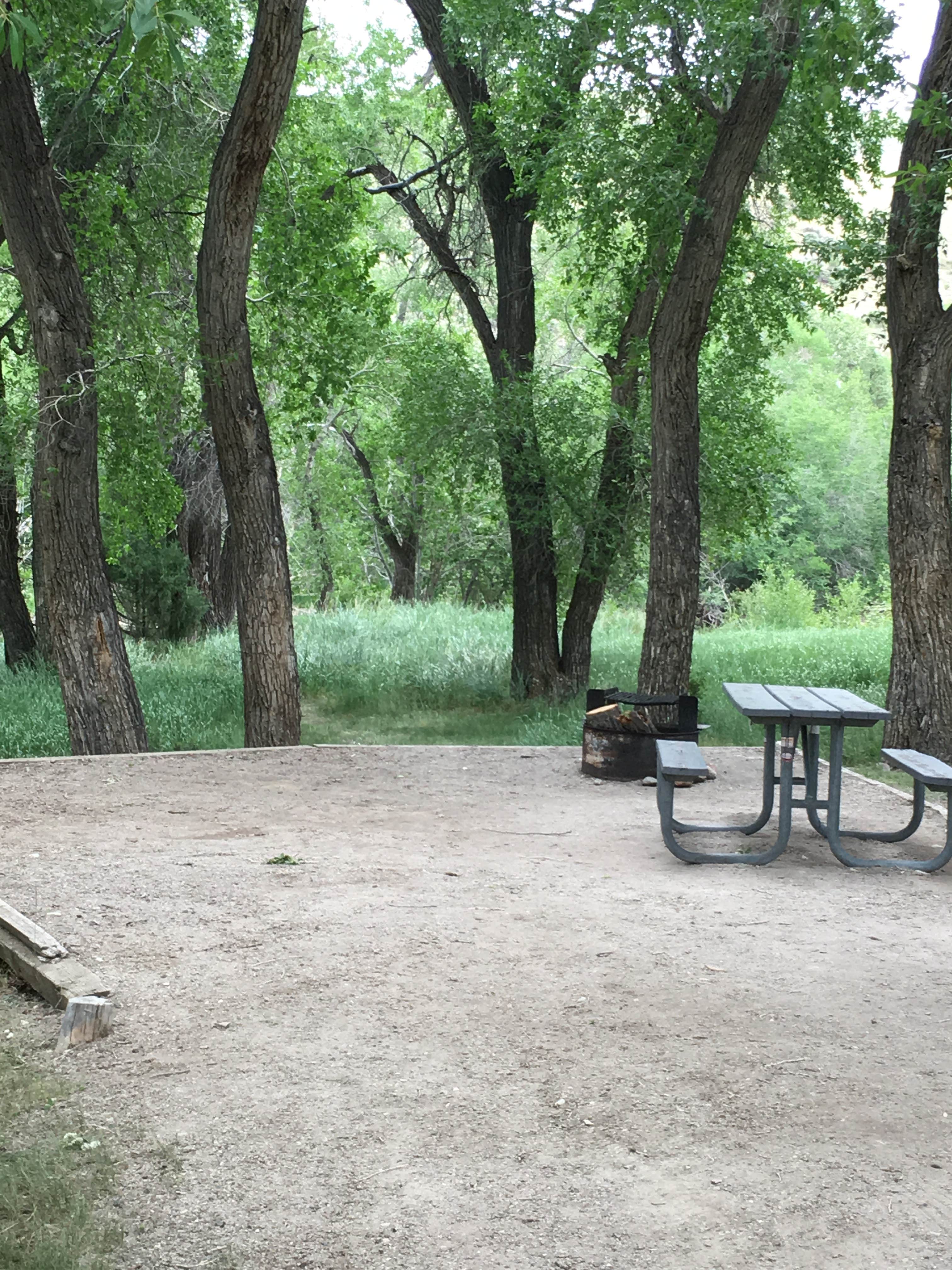 Camper submitted image from Encampment River Campground — Bureau Of Land Management - 5
